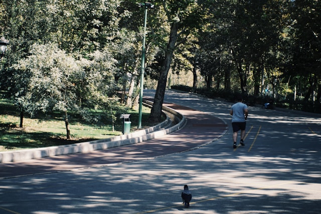 Carlanestia inspiráció